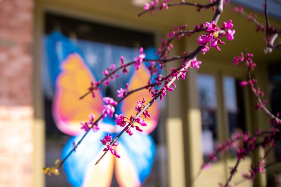 Spring Adventures in Hico