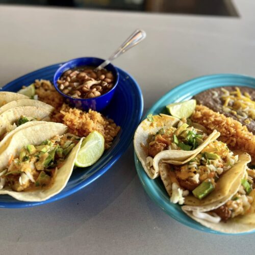 493287062_1349816690080824_8126979222031053093_n