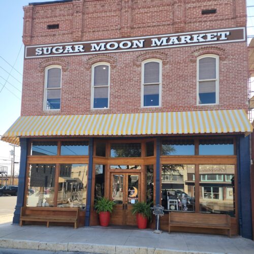 495697843_1296361225832800_8745187155697495047_n