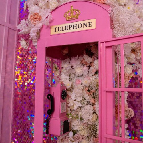 Hico-Texas-Lace-Cactus